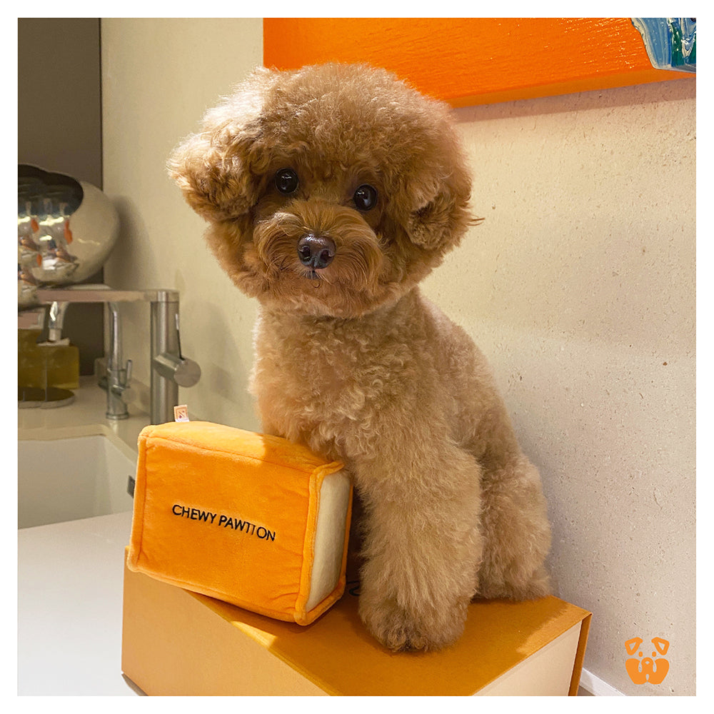 Luxury Paws: Parody Chewy Vuiton Designer Plush Dog Toys – Haute