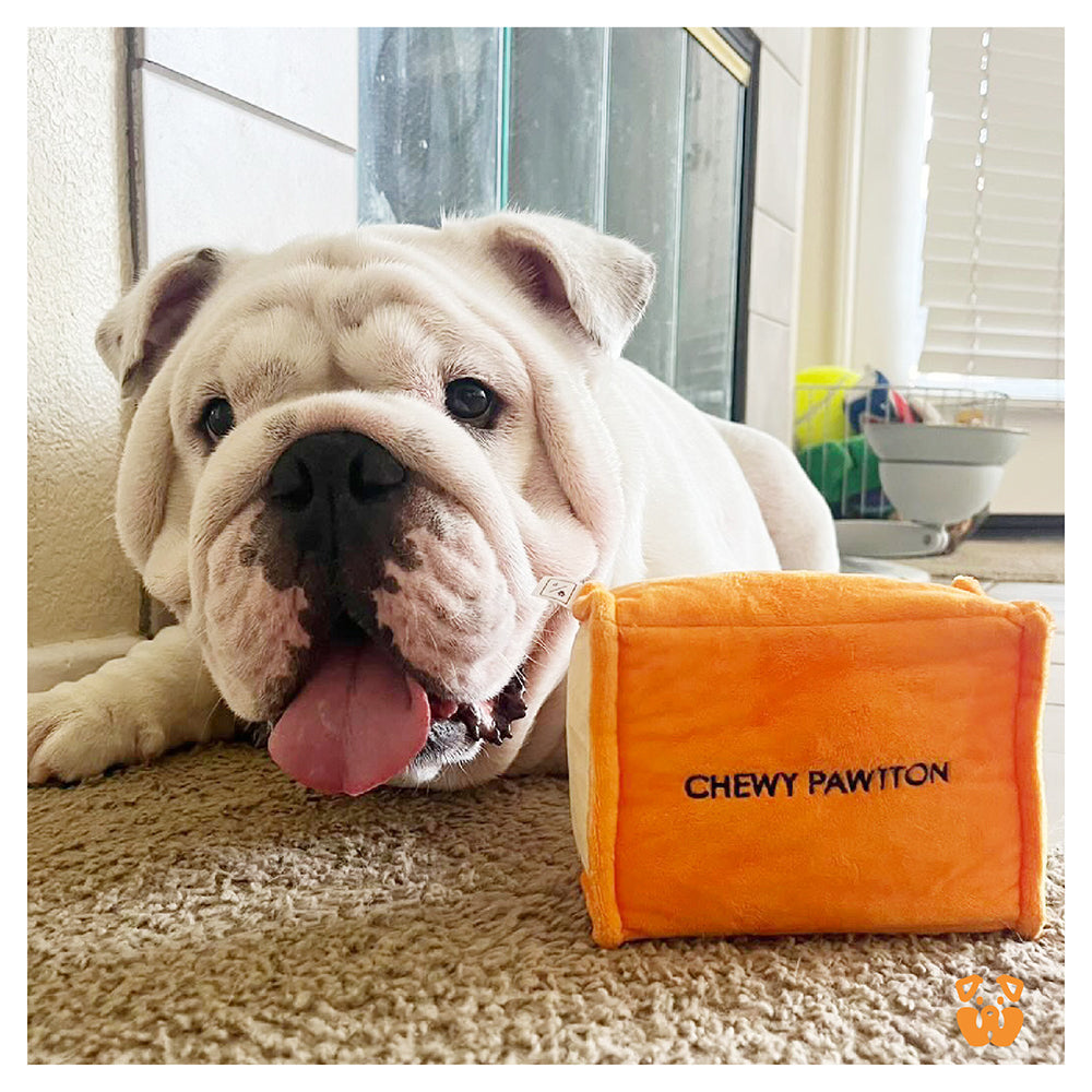 CHEWY PAWTTON  PAWTY Dog Toys – Pawty Dog Toys