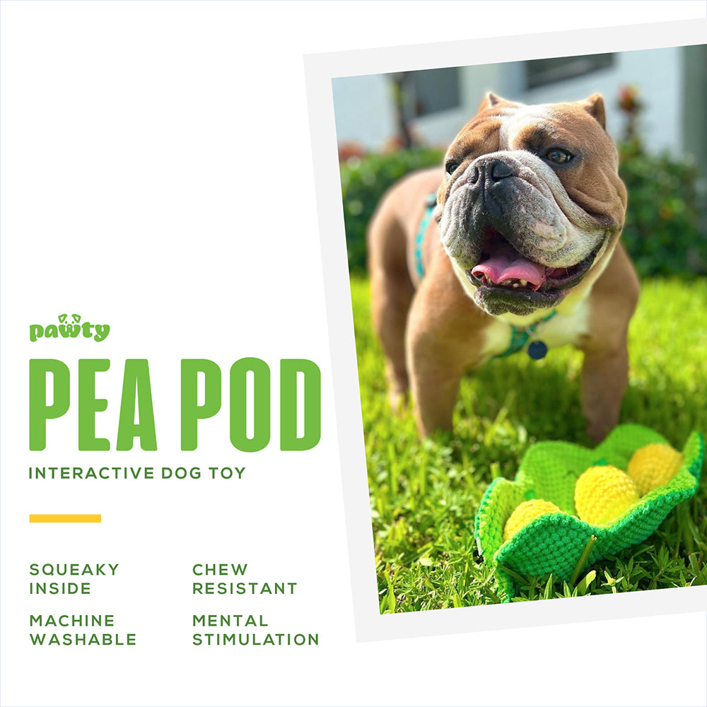 Popcorn Cheese Pea Snack Interactive Dog Toy – WOOFELITE